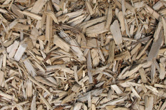 biomass boilers Muckton